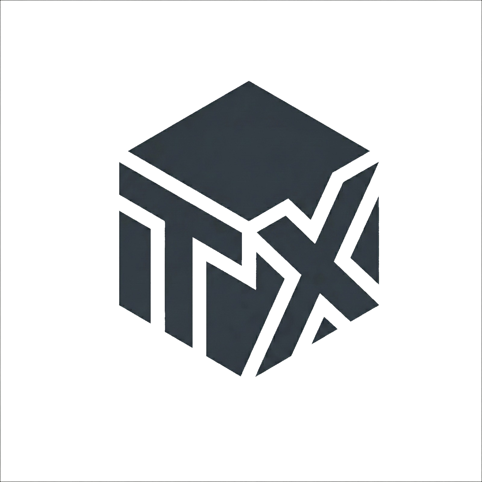 TechXonomy Logo